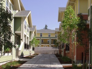 Meadowbrook View