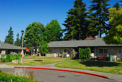 Evergreen Terrace