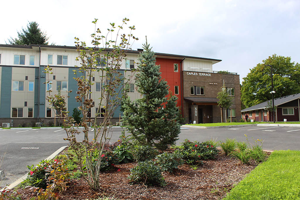 Caples Terrace
